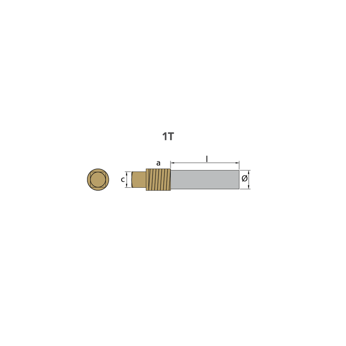 الزنك أنود فولفو بنتا، نوع قلم رصاص الأنود Ø15 L.40 مع Brass Plug Th.1 / 2 'BSPT، VP838929